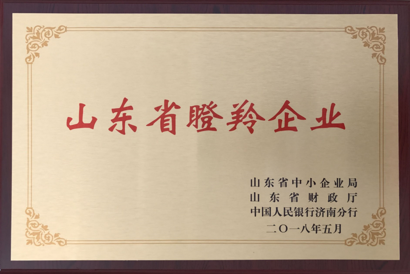 2018年公司入选山东省首批100家瞪羚示范企业